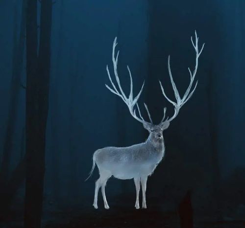 آموزش طراحی گوزن درخشان در فتوشاپ